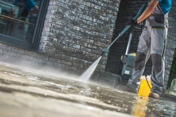 Best Soft Washing for Delicate Surfaces in Dranesville, VA